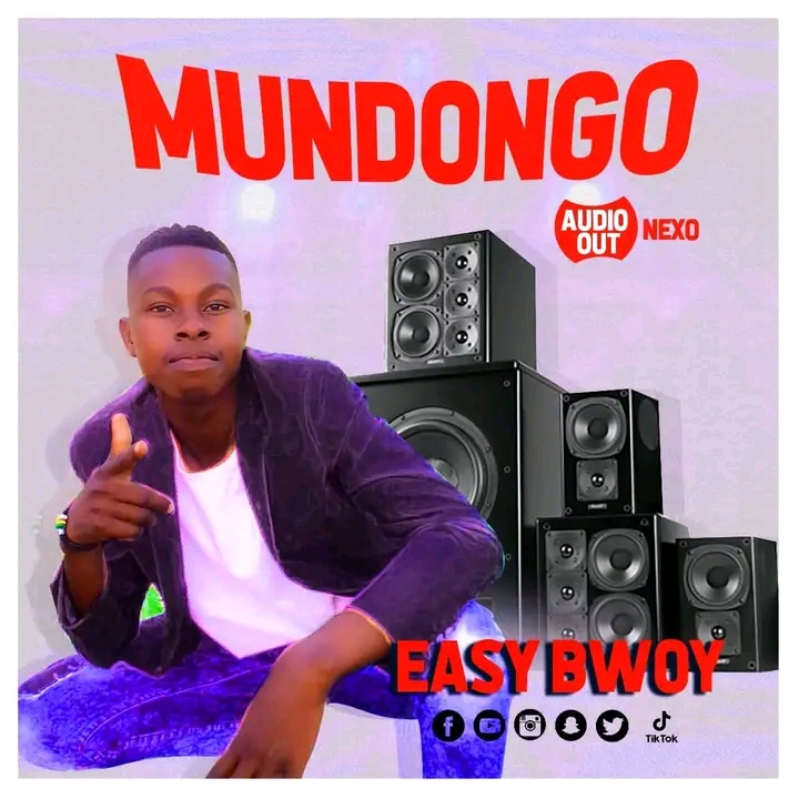 Easy Boy Katoto