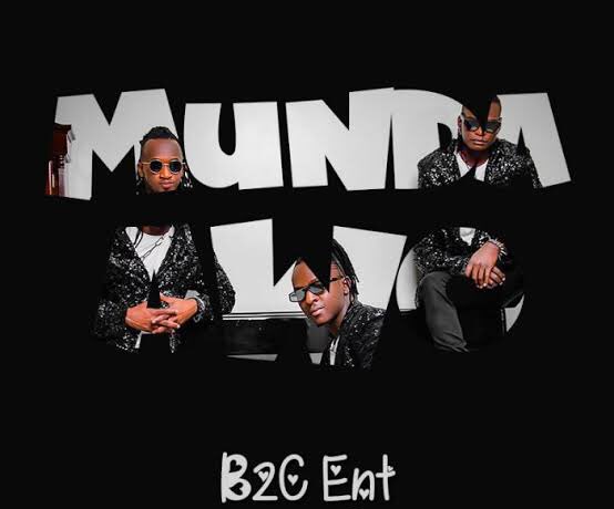 B2C Ent