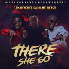 Radio And Weasel