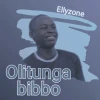Ellyzone