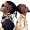 Radio And Weasel