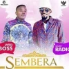 Radio And Weasel