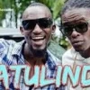 Radio And Weasel