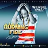Radio And Weasel