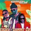Radio And Weasel